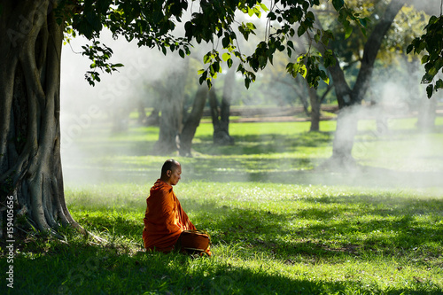 Cuadros en Lienzo Buddhist monks are reading Novice learning,Thailand,vintage style