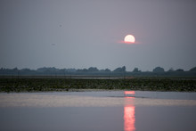 Breathtaking Sunset In Danube Delta, Romania, In A Summer Day
