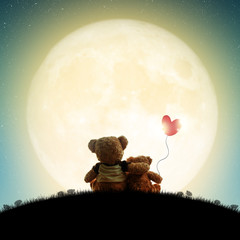 couple love teddy bear (non branded) hugging on starry night sky, love concept