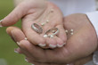 © nellas - wedding hands