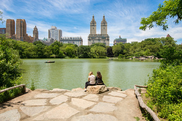 Wall Mural - Central Park