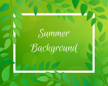 Nature Gradient Backdrop With Foliage And Rectangular Frame. Green Horizontal Blurred Background With Bokeh. It Can Be Used For Poster, Sale Banner, Packaging.