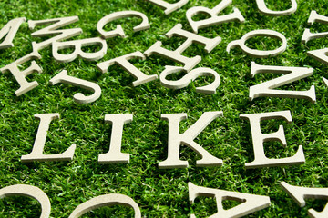 Canvas Print - Like wording placed on artificial green grass background