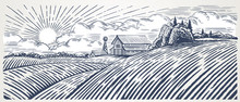 Rural Landscape With A Farm In Engraving Style. Hand Drawn And Converted To Vector Illustration