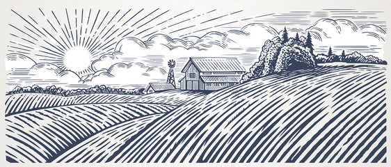 rural landscape with a farm in engraving style. hand drawn and converted to vector illustration