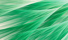 Computer Generated Abstract Fractal Illustration With A Green Pattern