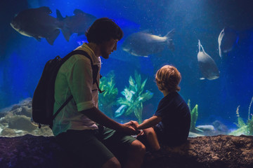 Wall Mural - Father and son look at the fish in the aquarium in oceanarium