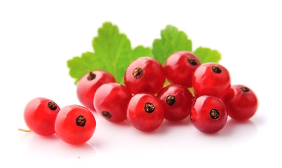 Sticker - Red currant closeup.