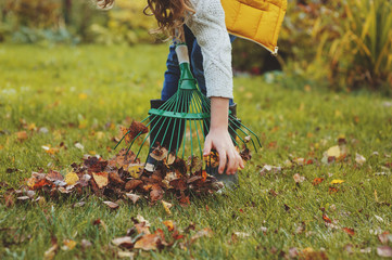 happy kid girl playing little gardener and picking leaves in autumn garden outdoor