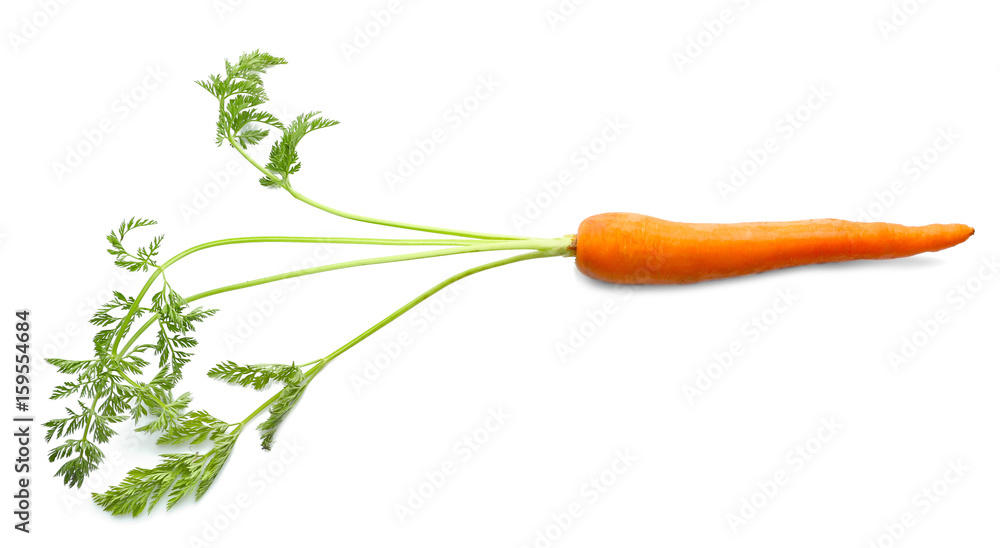 Fresh carrot with leaves on white background