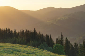 Wall Mural - mountain valley during sundown. beautiful natural landscape in the summer time