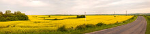 Photo Of Rapeseed Yellow Field. Canola Field In Summer Day.