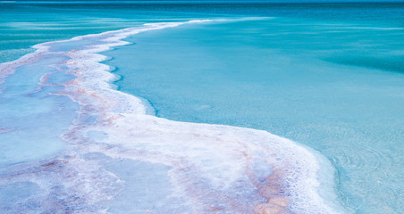 View of Dead Sea coastline. Salt crystals and dry plants . Texture of Dead sea. Salty sea shore