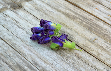 Pea flowers on wood background