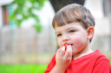 Little Boy Eating Strawberry. Happy Kid Eats Strawberry In Garden