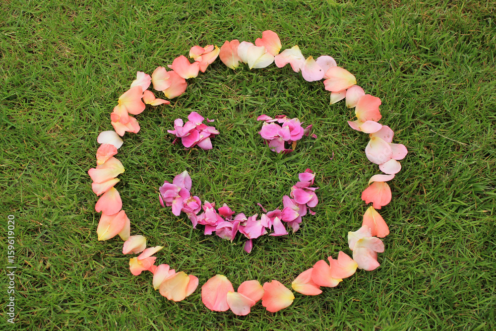 Smiley face emoticon from petals of rose on background of grass. Copy ...