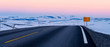 Arctic road