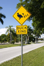 Duck Xing Signpost In Bright Yellow And Black