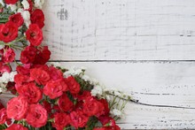 Floral Background, Red Roses On White Wooden Background 