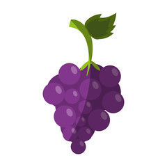 Sticker - Sweet fruit grapes icon vector illustration design graphic shadow