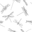 Seamless pattern with dragonflies. Black and white vector illustration.