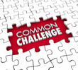 © iQoncept - Common Challenge Shared Problem Issue Puzzle 3d Illustration