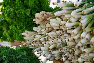 Wall Mural - Leeks, lettuce for sale on the farm market