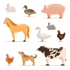 Sticker - Different domestic animals on farm. Geese, ducks, hens chickens and cattle. Vector illustrations set