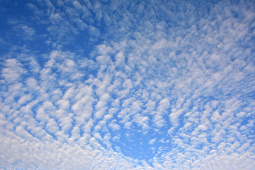 White cloud on blue sky background with sunny.