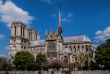 Fototapeta Paryż - View of Cathedral Notre Dame de Paris - a most famous Gothic, Roman Catholic cathedral (1163 - 1345) on the eastern half of the Cite Island.