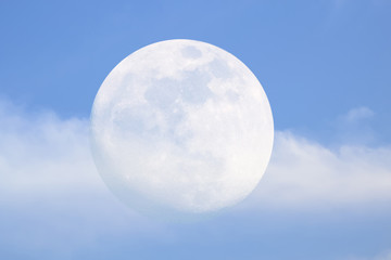 Wall Mural - full moon pink sky in winter