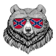 Grizzly Bear Big Wild Bear Wearing Glasses With National Flag Of The Confederate States Of America Usa Flag Glasses Wild Animal For T-shirt, Poster, Badge, Banner, Emblem, Logo
