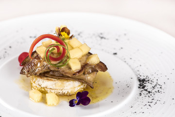 Luxurious dish with duck liver, pineapple and mango pieces, sweet sauce, placed on toasted bread, decorated with eatable flowers and red and green leafs, placed on white plate, light background, isola