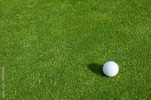 Fotomural Side view of golf ball on a putting green