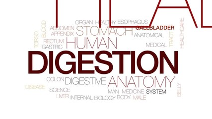 Poster - Digestion animated word cloud, text design animation. Kinetic typography.