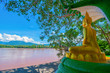 Naga Buddha statue side the Mekong River