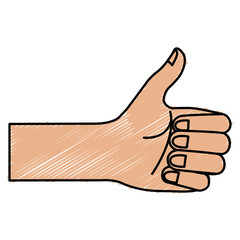 Sticker - hand human with like gesture vector illustration design