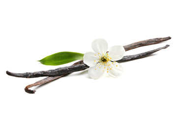 Sticker - Dried vanilla sticks and flower on white background