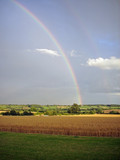 Fototapeta Tęcza - Rainbow over farmland