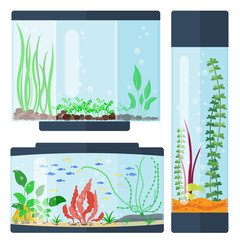 Poster - Transparent aquarium vector illustration habitat water tank house underwater fish tank bowl.