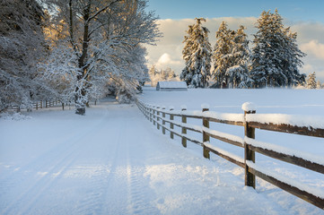 Beautiful Country Drive After a Snowstorm. Fresh powdery snow carpets the landscape after a recent snowstorm on an island in the Puget Sound area of the Pacific Northwest.