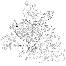 Coloring Book Page Of Sparrow Bird Sitting On Apple Blossoming Tree Branch. Freehand Sketch Drawing For Adult Antistress Colouring With Doodle And Zentangle Elements.