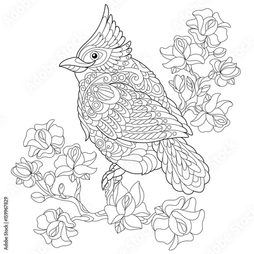 Coloring Book Page Of Northern Red Cardinal Bird Sitting On