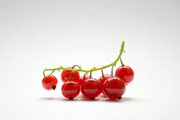 Wall Mural - branch of red currant