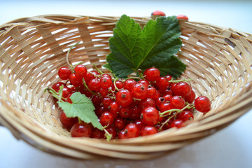 Wall Mural - red currant in a basket