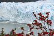 Perito Moreno, Park Narodowy Los Glaciares, Argentyna
