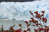 Fototapeta  - Perito Moreno, Park Narodowy Los Glaciares, Argentyna