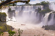 Cataratas del Iguazú,  Park Narodowy Iguazú, Argentyna