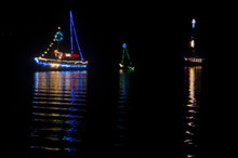 Christmas Sailboats In Nighttime Flotilla