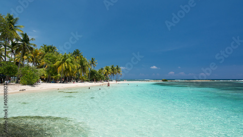 Guadeloupe Plage De La Caravelle Sainte Anne Stock Photo Adobe Stock Guadeloupe Plage De La Caravelle Sainte Anne Stock Photo Adobe Stock